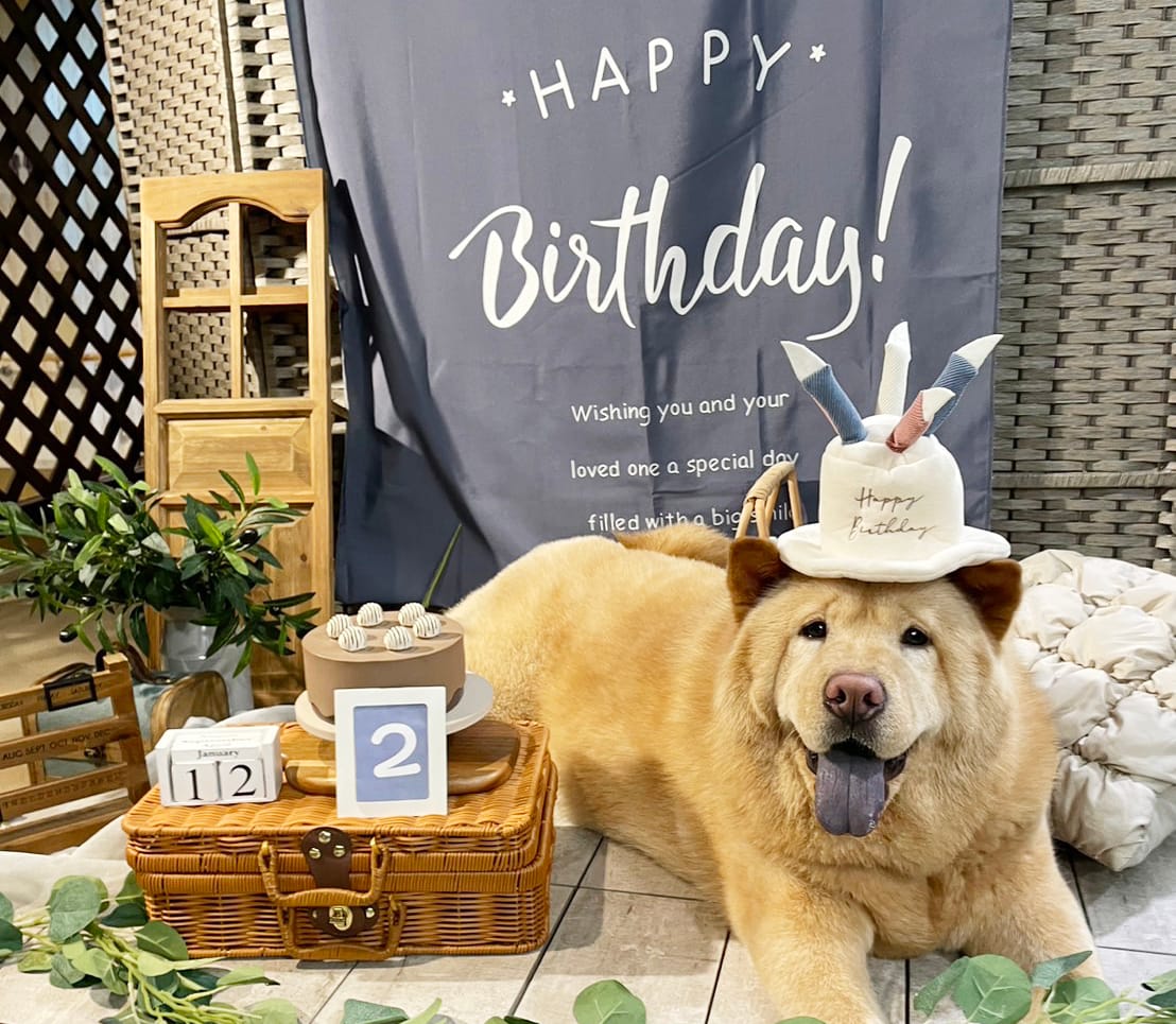 イベントアイキャッチ