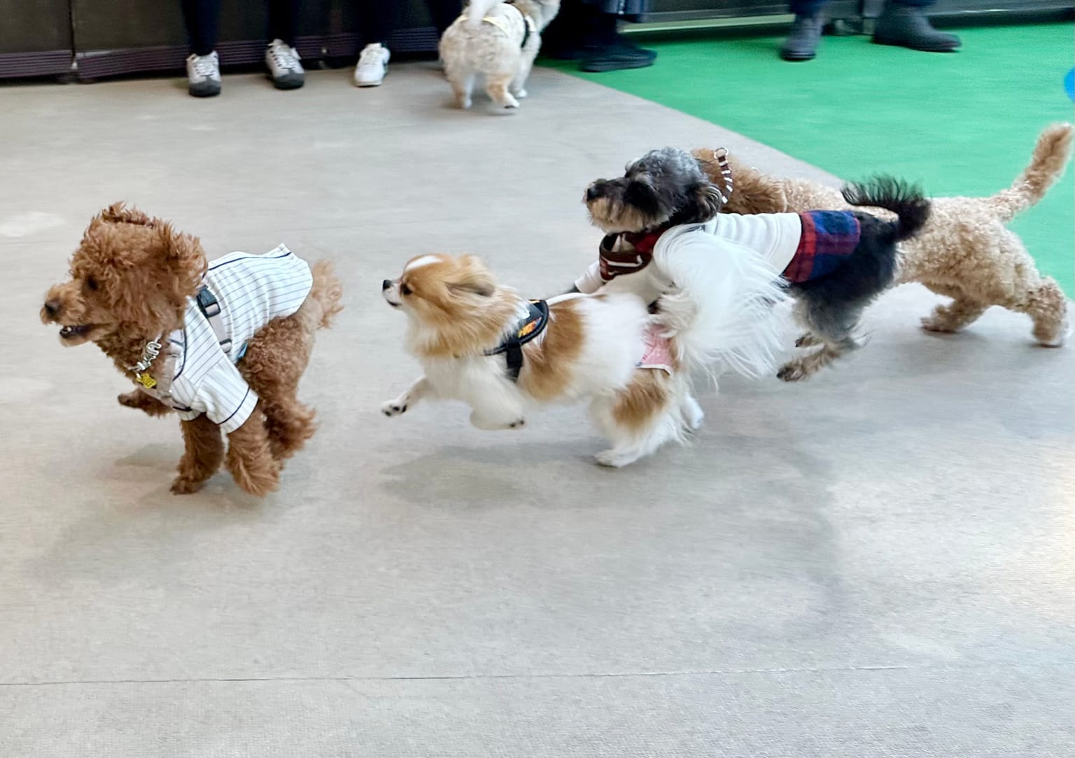イベントアイキャッチ