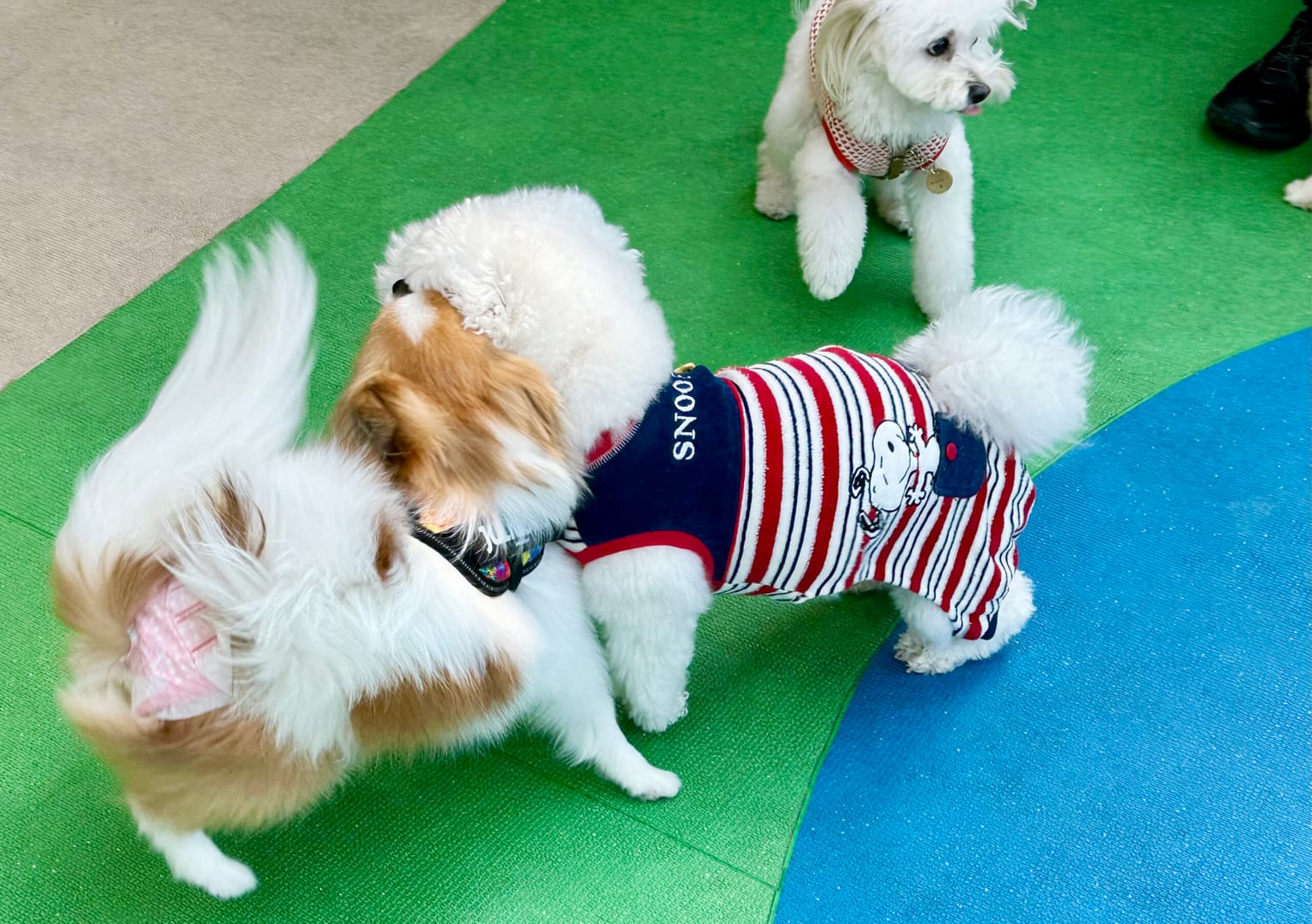 イベントアイキャッチ