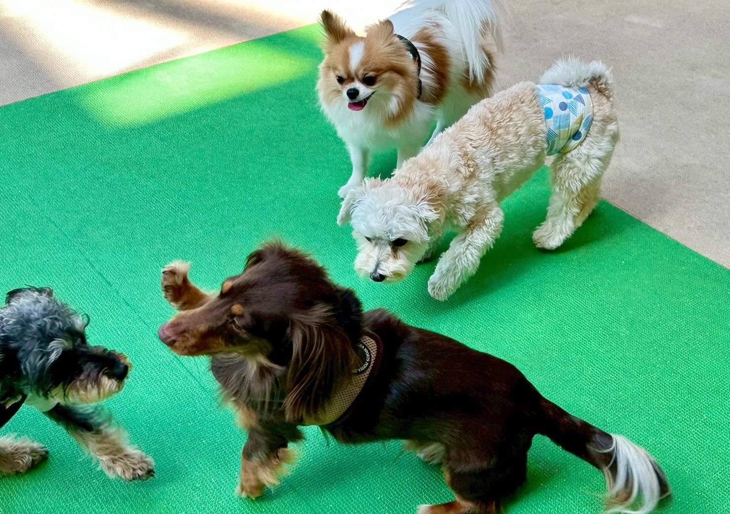 イベントアイキャッチ