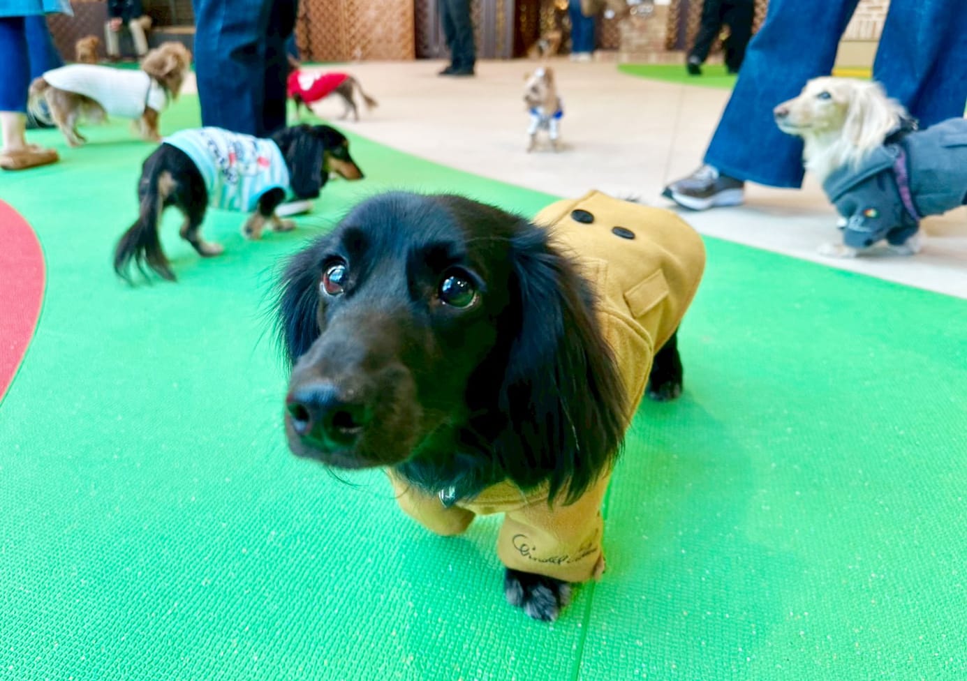イベントアイキャッチ