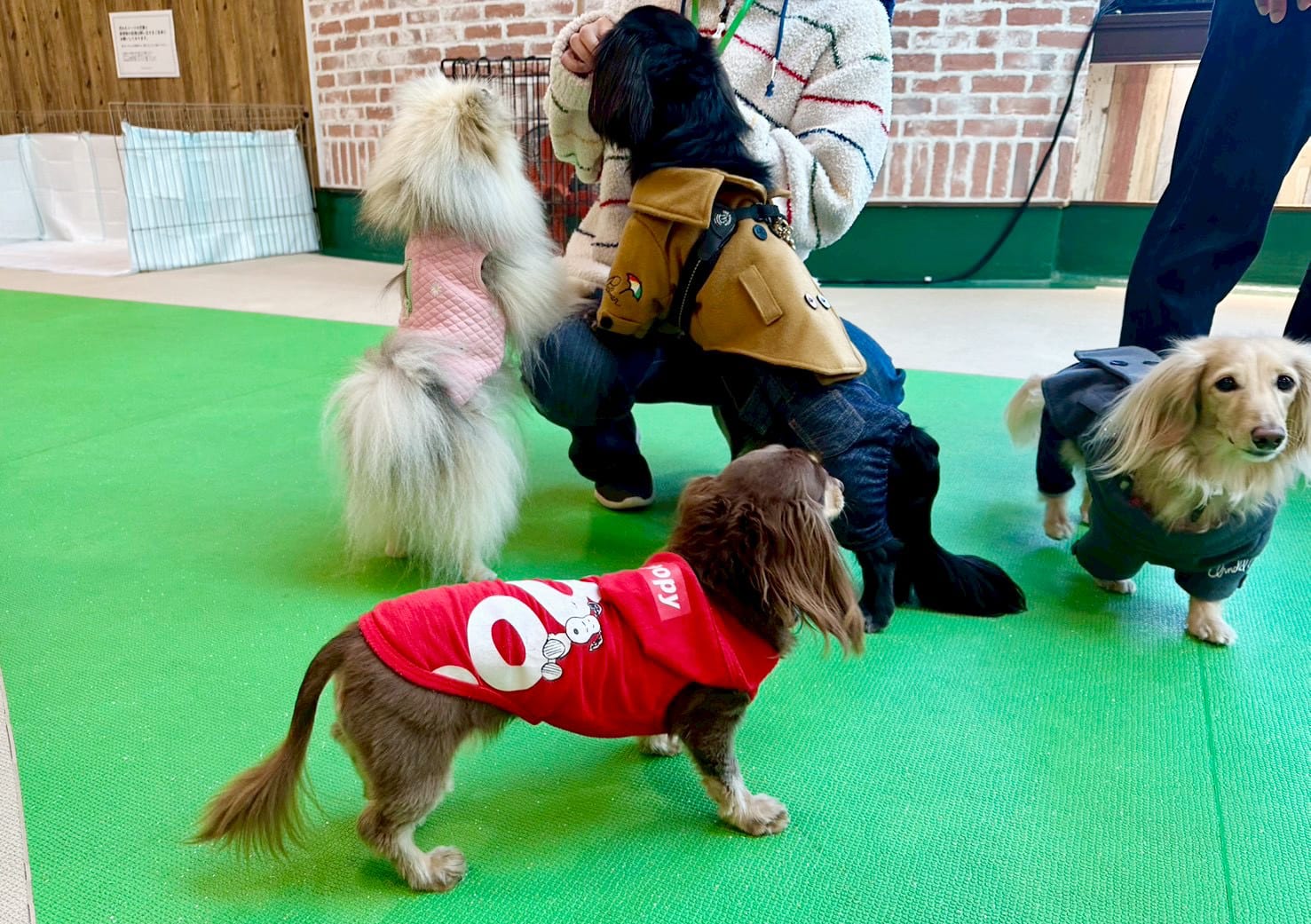 イベントアイキャッチ