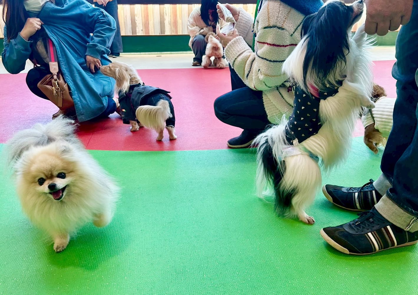 イベントアイキャッチ