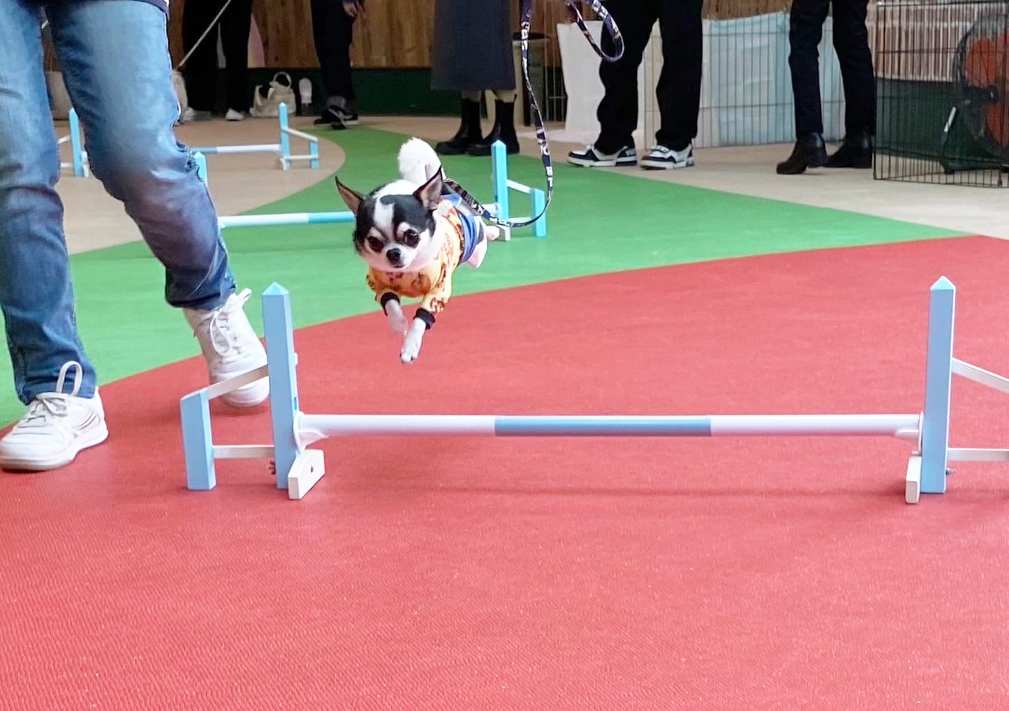 イベントアイキャッチ