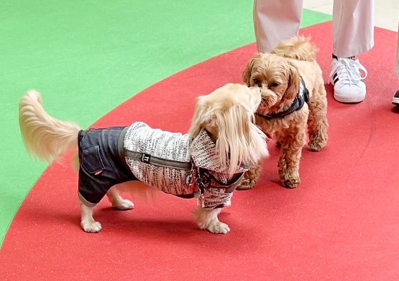イベントアイキャッチ