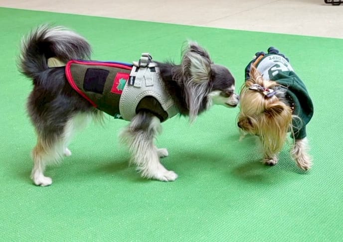 イベントアイキャッチ