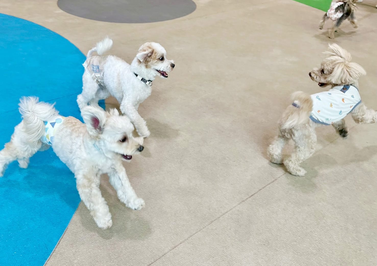 イベントアイキャッチ