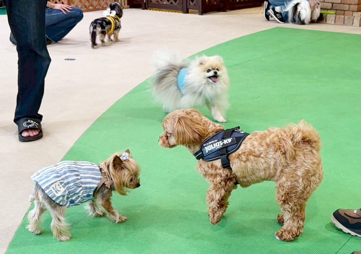 イベントアイキャッチ