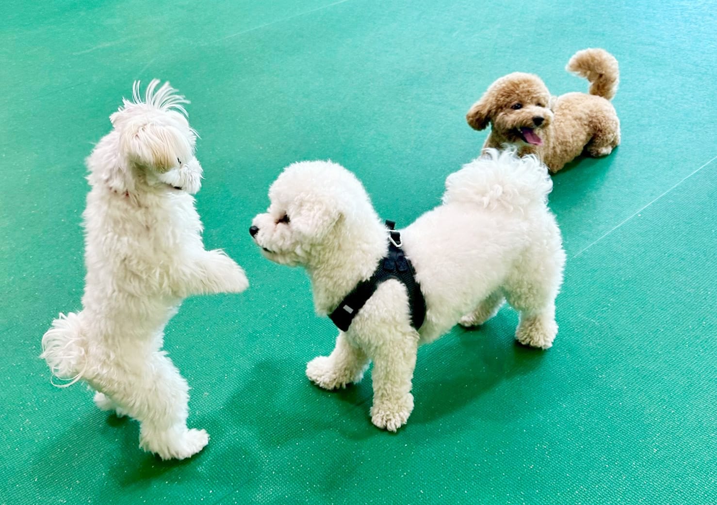 イベントアイキャッチ