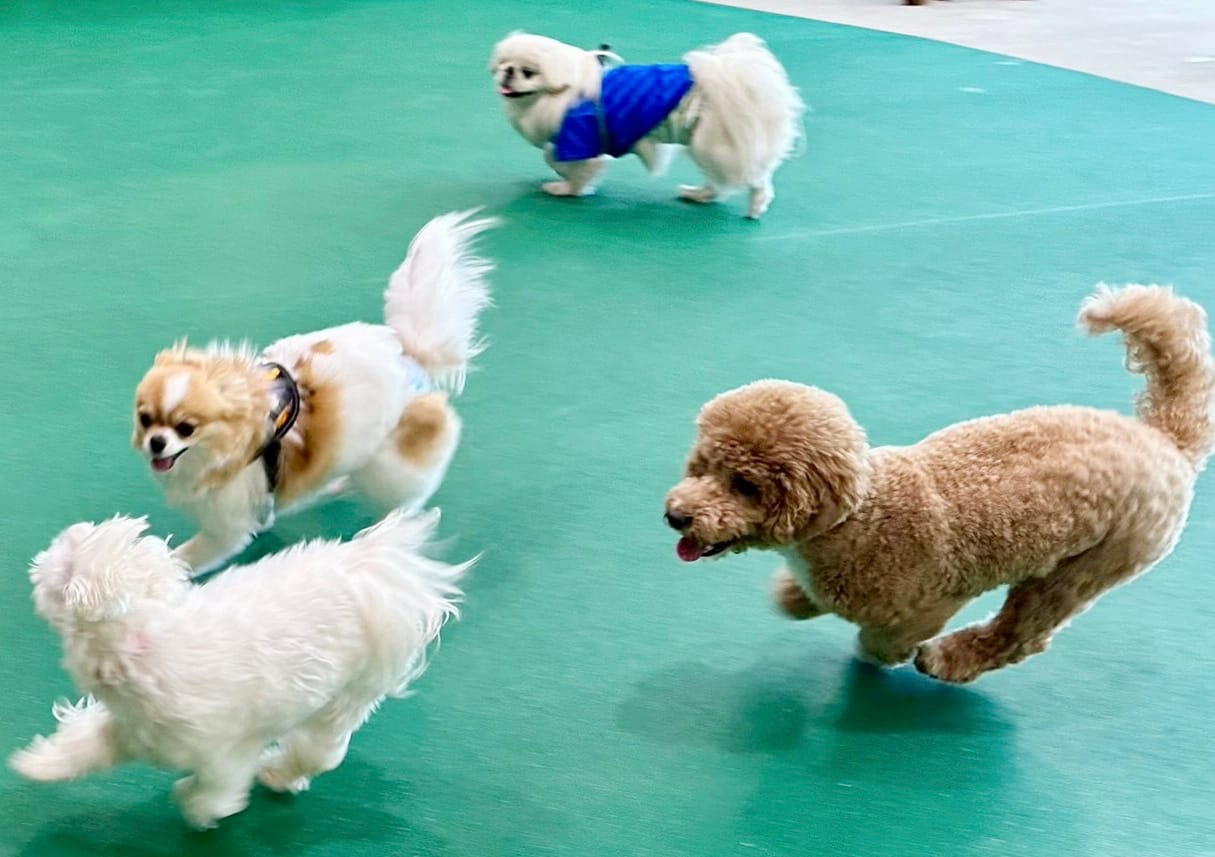 イベントアイキャッチ