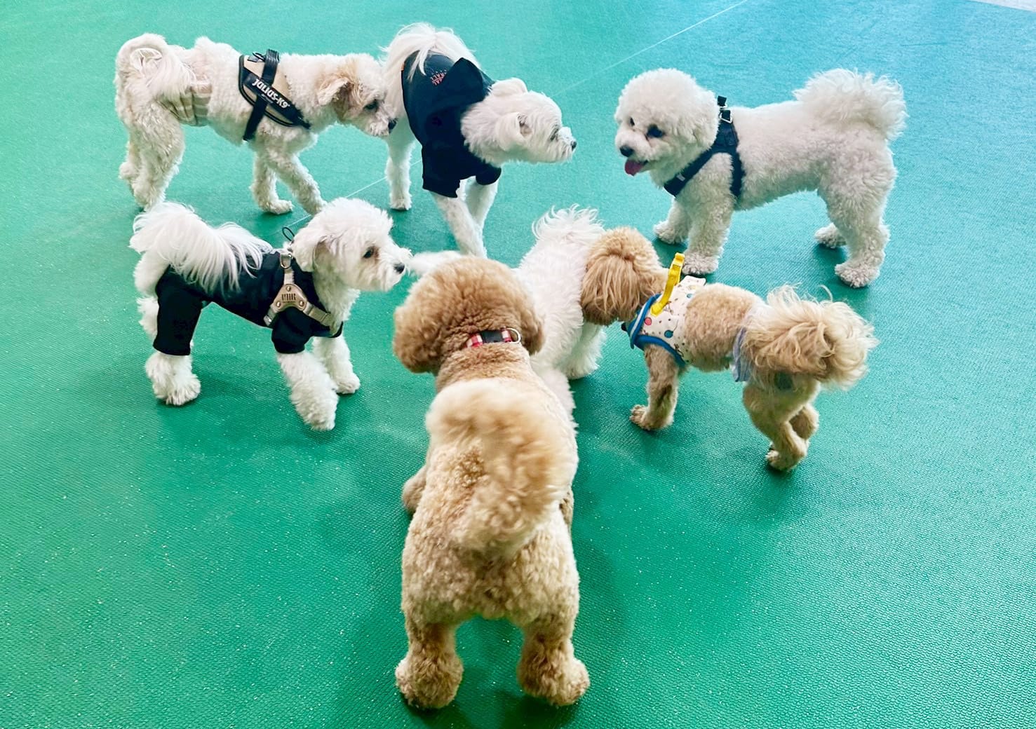 イベントアイキャッチ