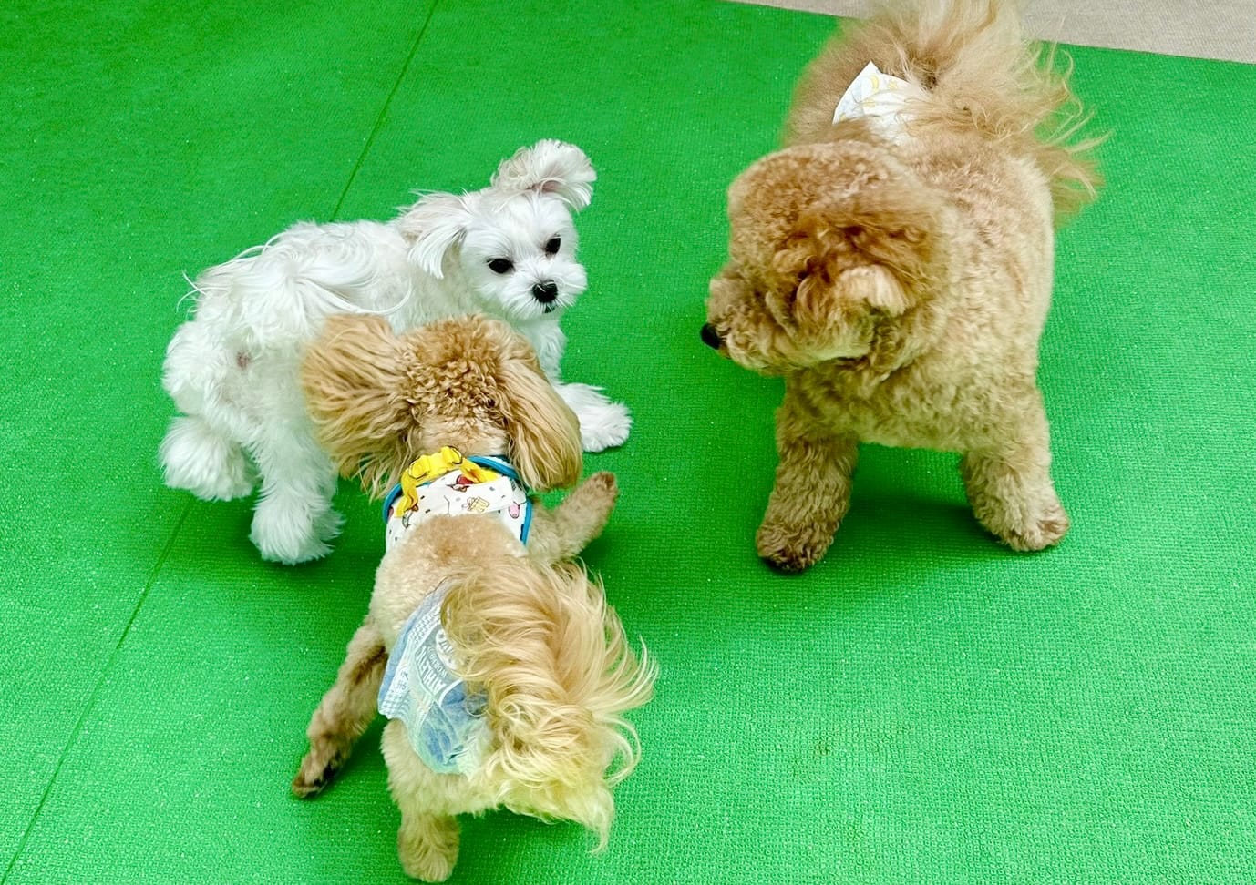 イベントアイキャッチ