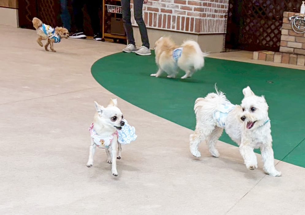 イベントアイキャッチ