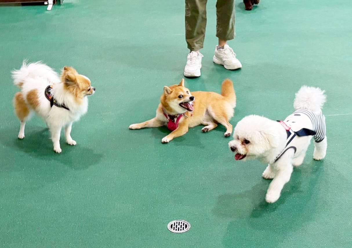 イベントアイキャッチ