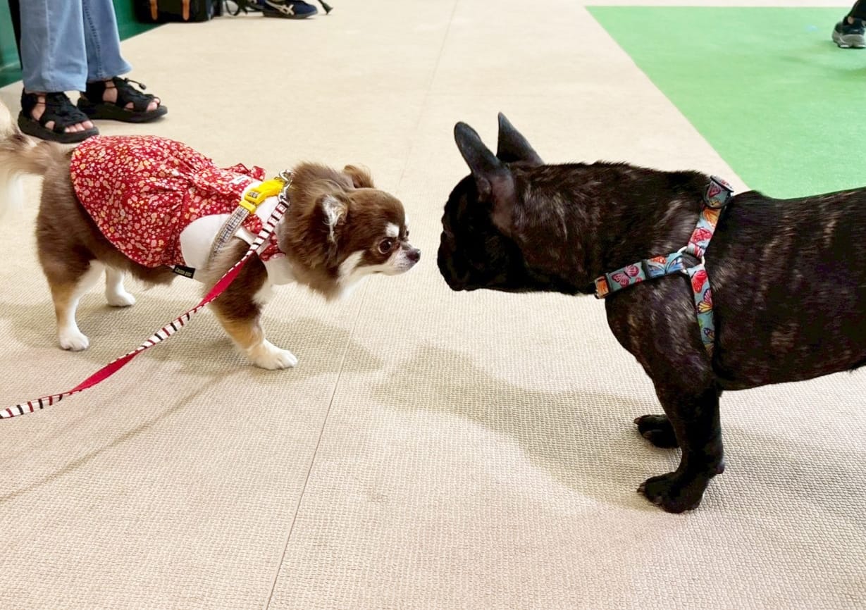 イベントアイキャッチ