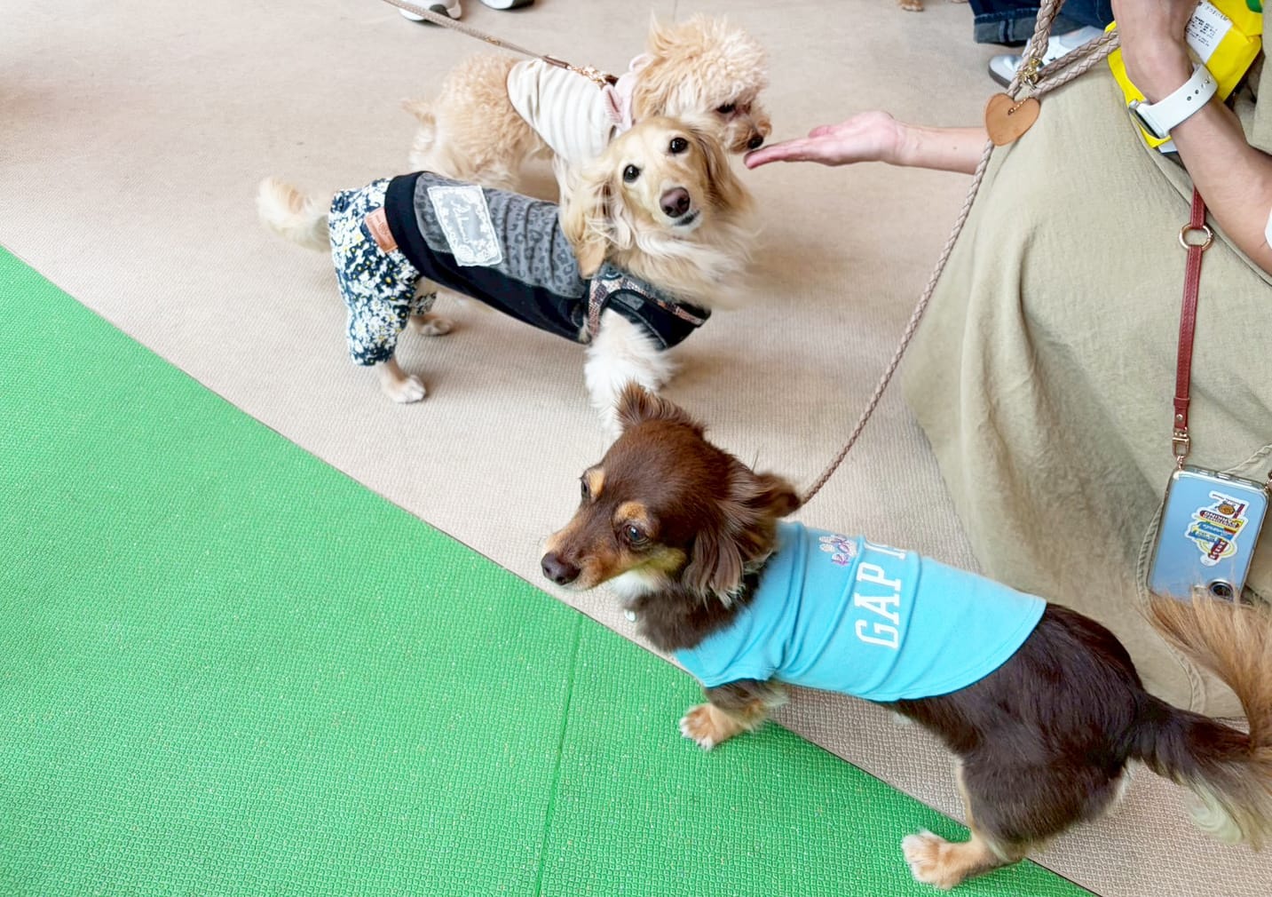 イベントアイキャッチ