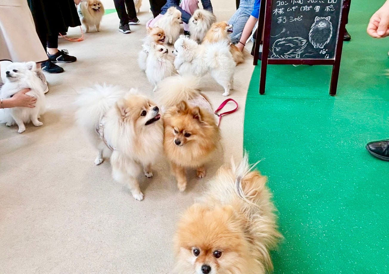 イベントアイキャッチ