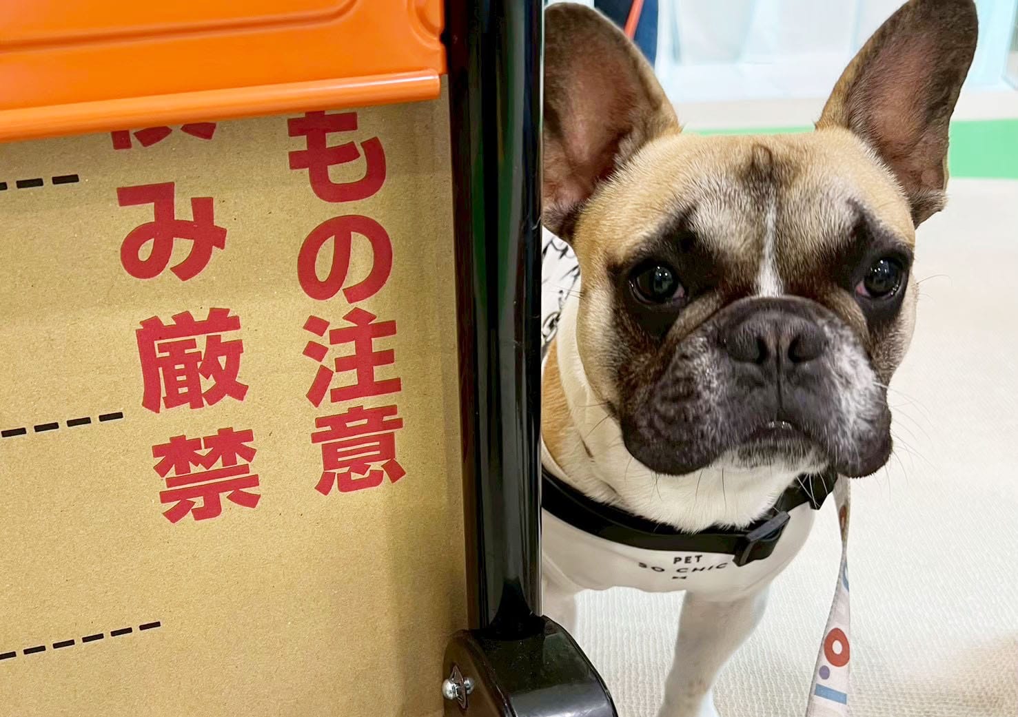 イベントアイキャッチ